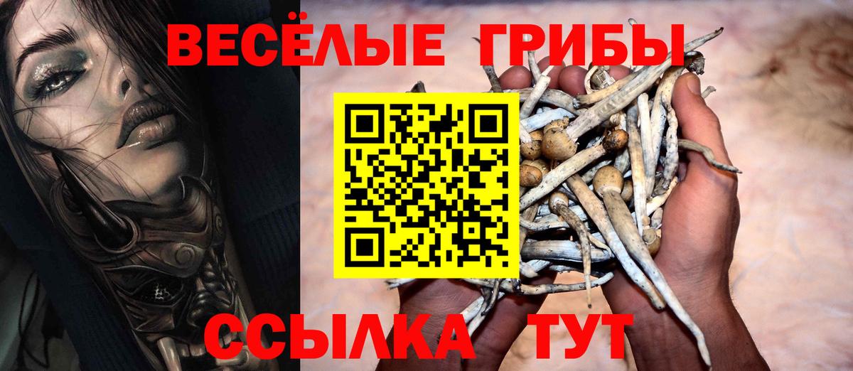 Галлюциногенные грибы Cubensis Красногорск