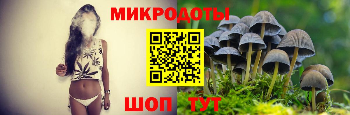 Галлюциногенные грибы Psilocybe  Вход с VPN  Псилоцибиновые грибы Cubensis  Красногорск 